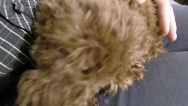 fits　出会い　こんなカフェに行ってみたい☆２