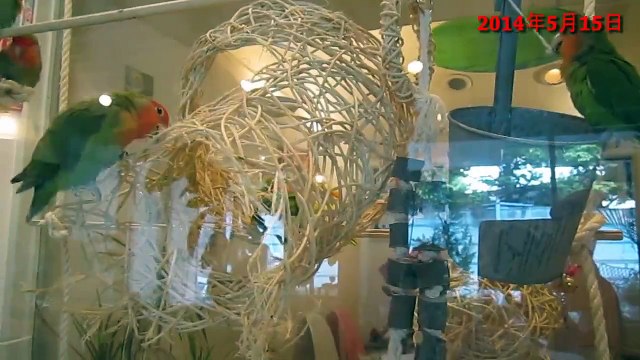 fits　出会い　こんなカフェに行ってみたい☆１４