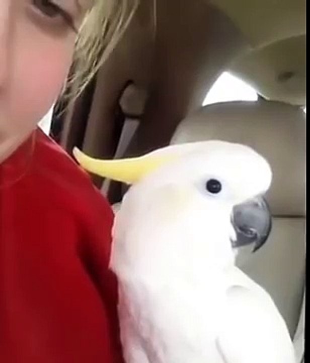 Vogel beleidigt Merkel