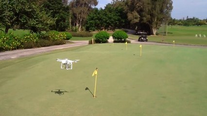 The-Village-Golf-Club-Don't-Tease-The-Bees!