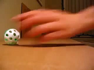 OMG SO CUTE! Crazy Bird Talking  Running After His Ball!