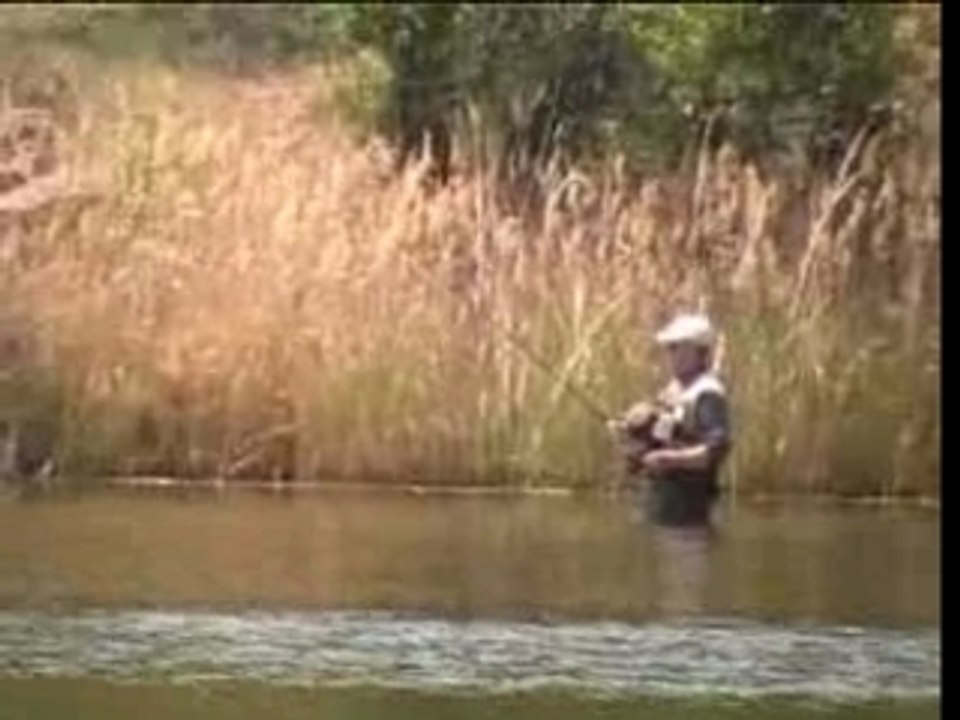 peche : black bass au fouet