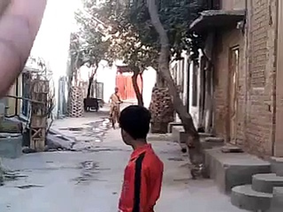 Funy clip (1)