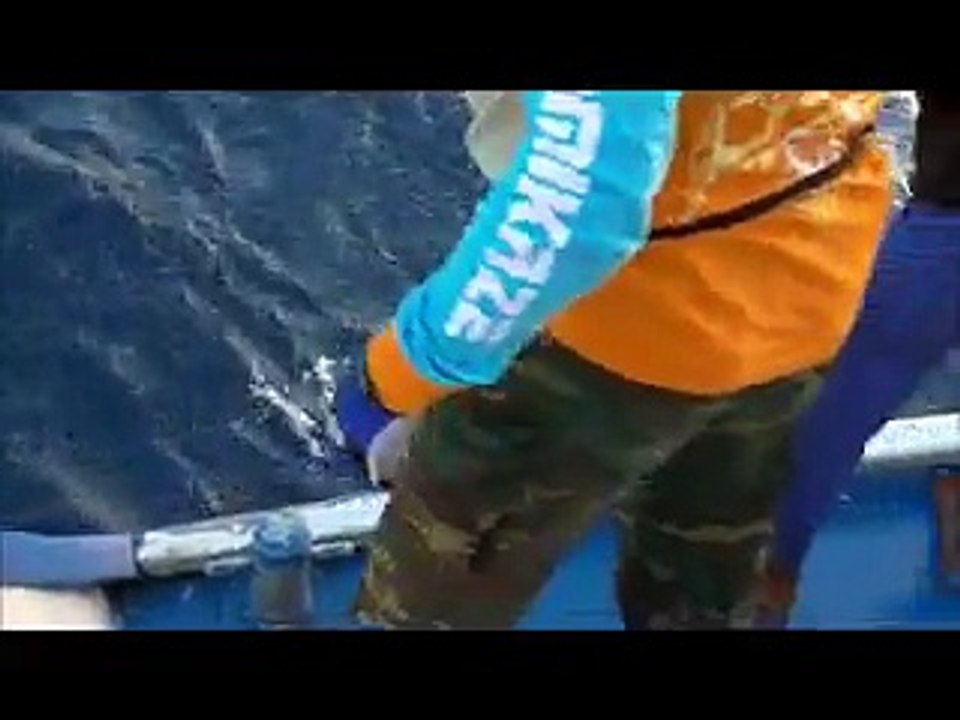 Mancing Ikan Yes Ruby Snapper Dan Tongkol