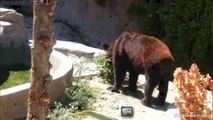 QUEJA CIUDADANA EN EL PARQUE MORELOS TIJUANA BAJA CALIFORNIA MEXICO ANIMALES MAL CUIDADOS SEPTIEMBRE 2015