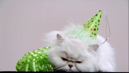 When You Realize The Weekend Is Over | Awlla Inc.