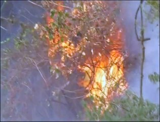 Vague d’incendies en Equateur qui appelle à l’aide internationale