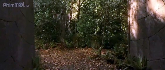 Chúa tể của những chiếc nhẫn Phần 1: Hiệp hội nhẫn thần Clip 3