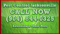 Indoor Bug Treatment Companies Jacksonville Florida