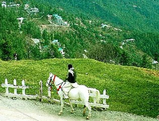 Murree Beautiful Place TO Visit In Pakistan