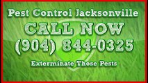 Indoor Termite Exterminator Jacksonville Florida