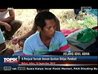 4 Penjual Ternak Hewan Kurban Ditipu Pembeli