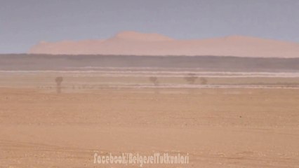 Sahra Çölünde Görülen Vahalar (Serap)