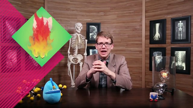 Tissues - Types of Connective - Biology #1 Part 4