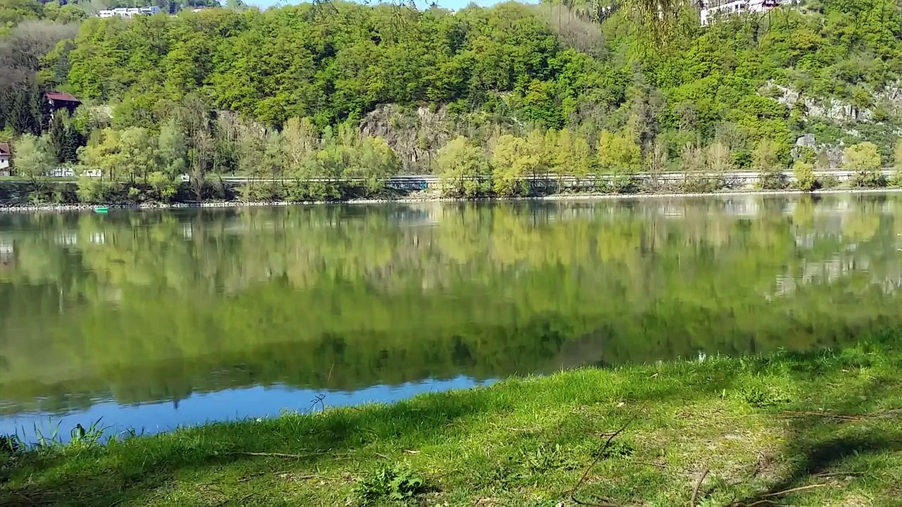 Schwane die elegantesten Vogel die ich je gesehen habe%21