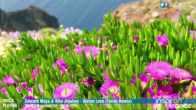 Edward Maya _ Vika Jigulina - Stereo Love (Tiesto Remix)