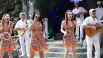 BAN NHẠC FLAMENCO GIPSY FIRE TP.HCM LOVE YOU LIKE A LOVE SONG