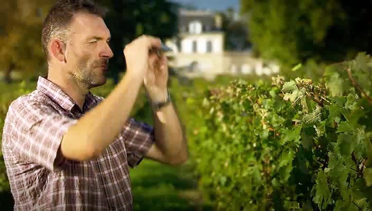 VIN 2011