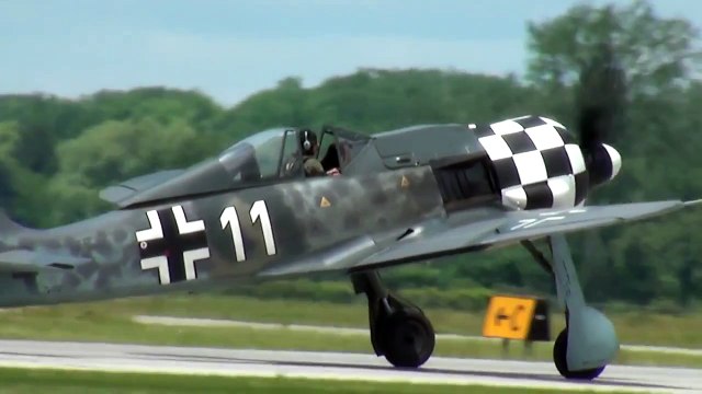 Focke-Wulf FW 190 The butcher Bird