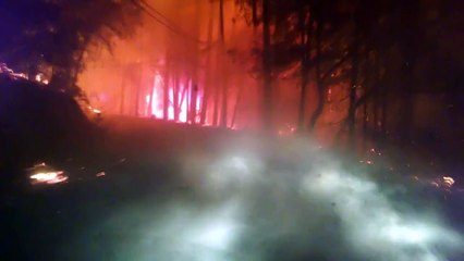 Il roule au milieu d'une forêt en feu