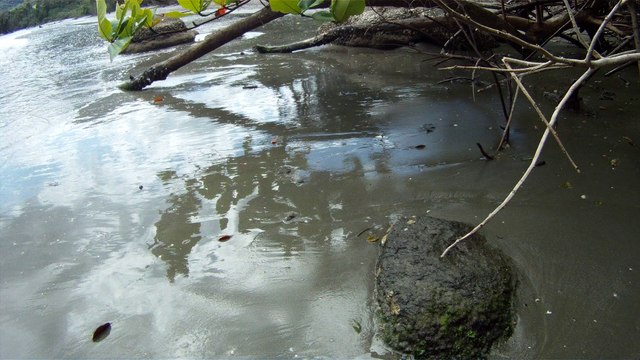 Busca e Retirada de metais ferrosos e não ferrosos das areias, Ubatuba, SP, Brasil, 2015, Parte (37)