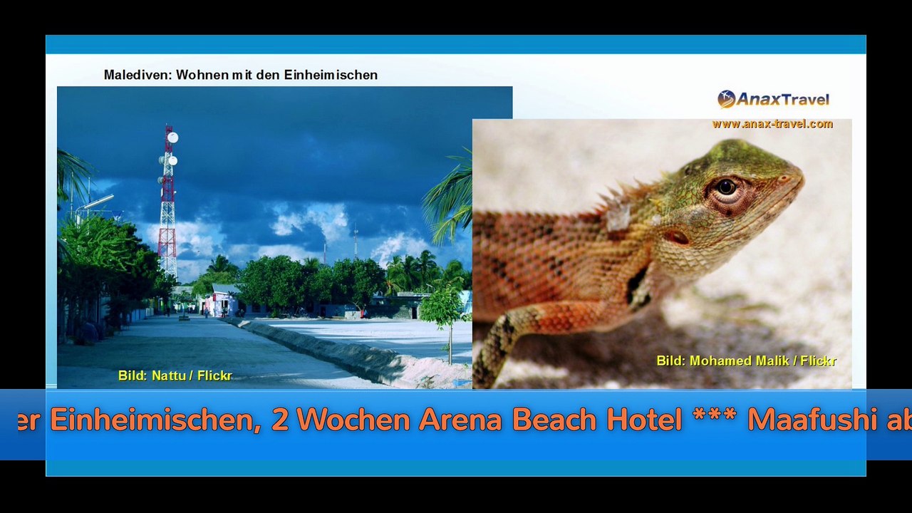 Reisenews 16. September