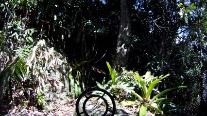 Busca e Retirada de metais ferrosos e não ferrosos das areias, Ubatuba, SP, Brasil,  2015, Parte (29)