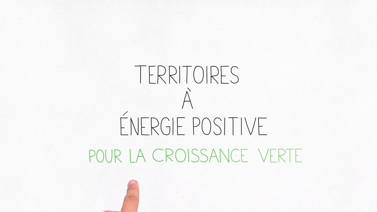 Qu'est-ce qu'un TEPCV ?