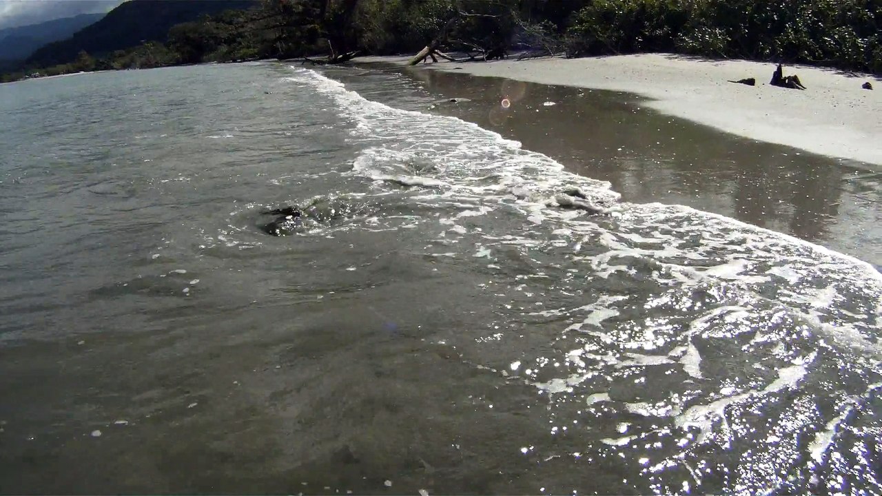 Busca e Retirada de metais ferrosos e não ferrosos das areias, Ubatuba, SP, Brasil,  2015, Parte (19)