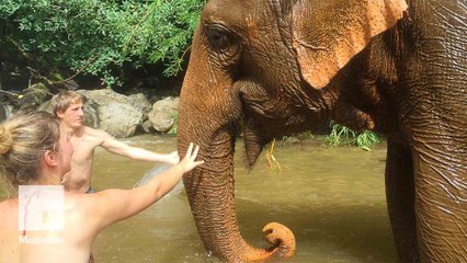Why you should cross elephant riding off your bucket list