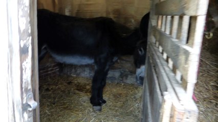 nicolas et tessy mangent. les écuries du dernier recours de wattrelos