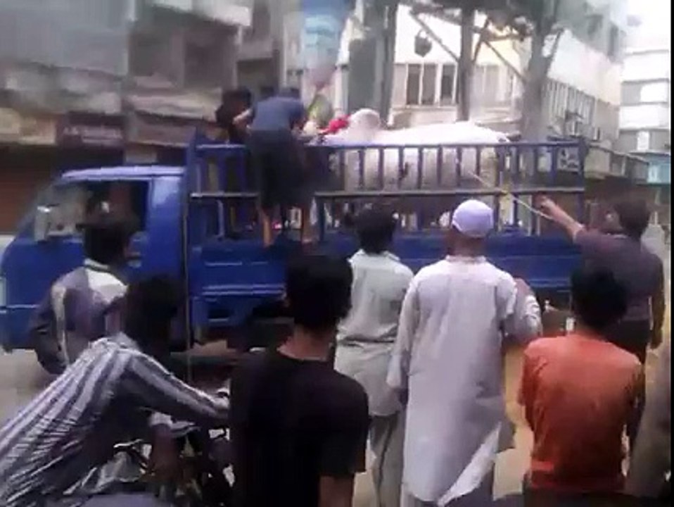 Cow of the 2015 - Watch How Cow Get Freedom??