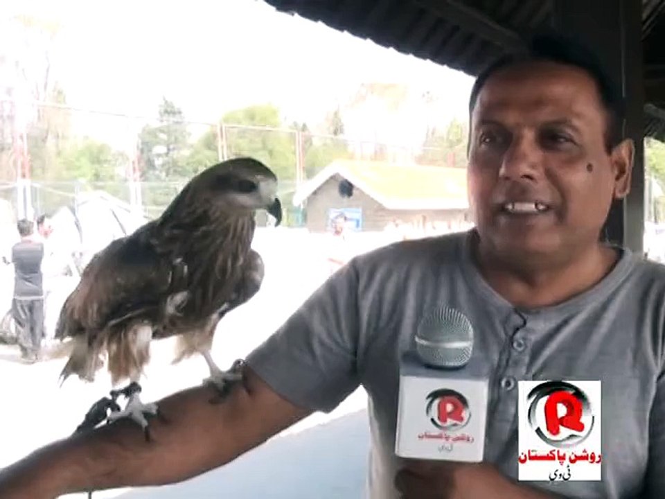 Abdul Ahad Owner of Eagle at Murree