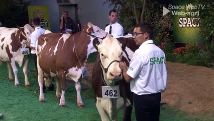 Space 2015 : le concours Montbéliarde en images