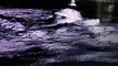 Mission Apollo 20, OVNI et la LUNE. - Apollo 20 UFO and the MOON.
