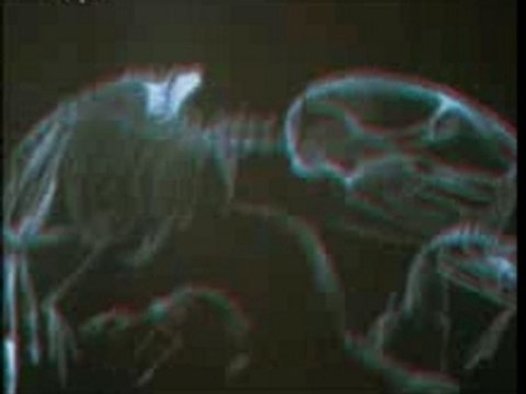 Kaiser Chiefs-Everyday I Love You Less