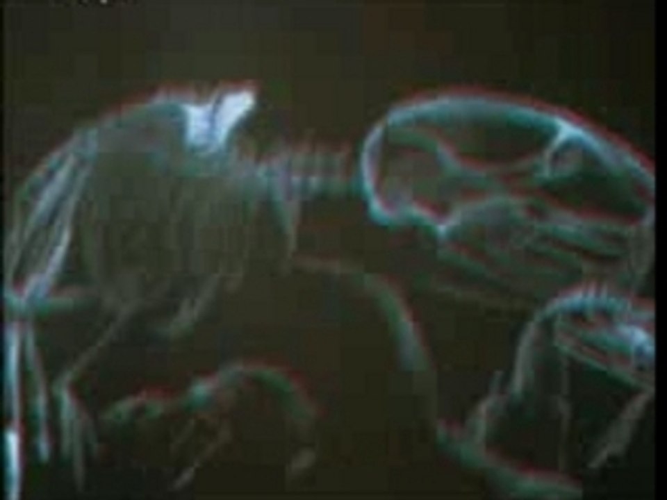 Kaiser Chiefs-Everyday I Love You Less