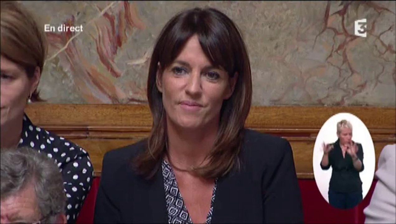 16.09.2015 QAG Question à la Ministre de la Culture