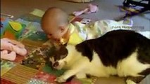 Funny cats and babies playing together - Cute cat & baby compilation -