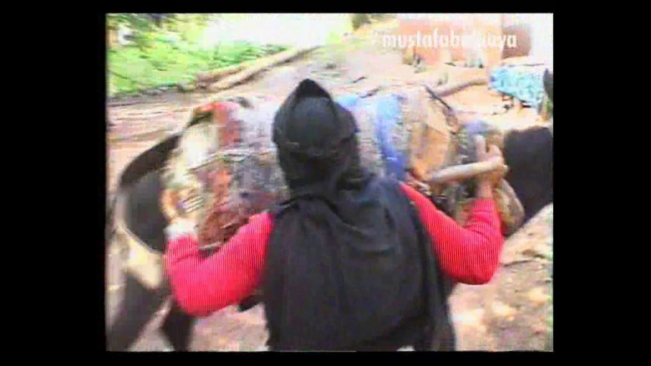 Balkaya Köyü Belgeseli