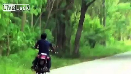 Drunk bike driver headbutts truck and gets second best