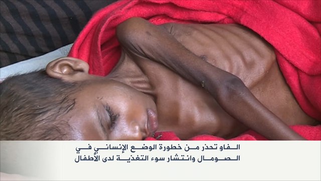 فاو تحذر من خطورة الوضع الإنساني بالصومال