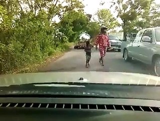 Funny Animals Pranks - Funny Videos of the day