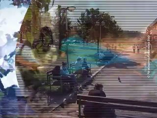 Vesti na vlaškom jeziku, 16. septembar 2015. (RTV Bor)