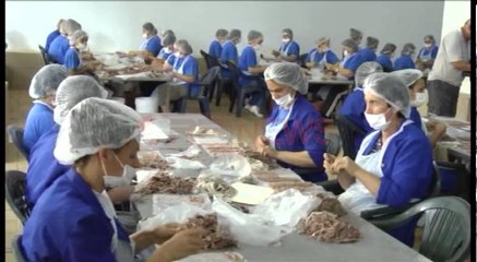 Klosi: Në Shqipëri kushte bashkëkohore punësimi, jo më pagesa me dy bordero