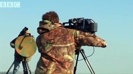 my girrafe Realization Falcon Lover