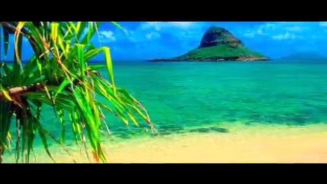 Aylin Vatankoş Seni ben ellerin olsun diyemi !!