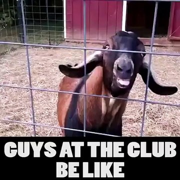 GUYS AT DA CLUB Funniest Pranks