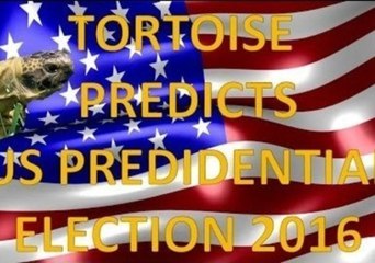 Tortoise Predicts Bad News for Trump and Clinton