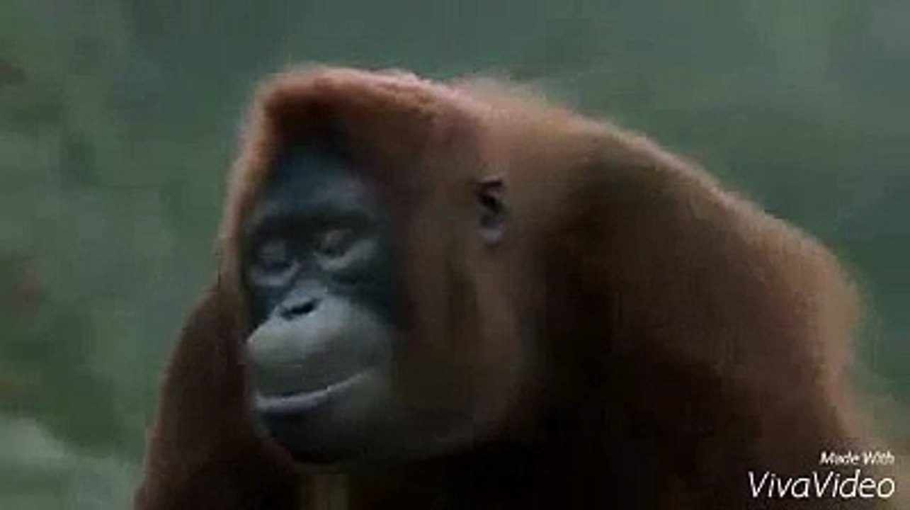 Die-volle-DrA?nung-:-D